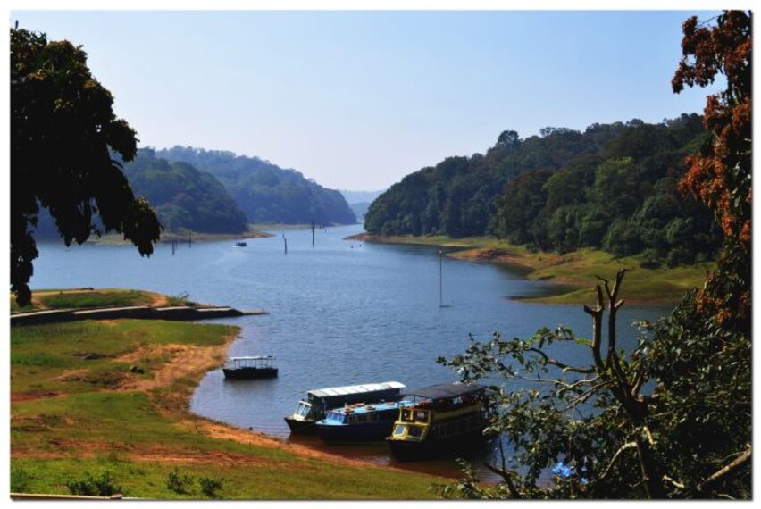 Periyar Lake-2